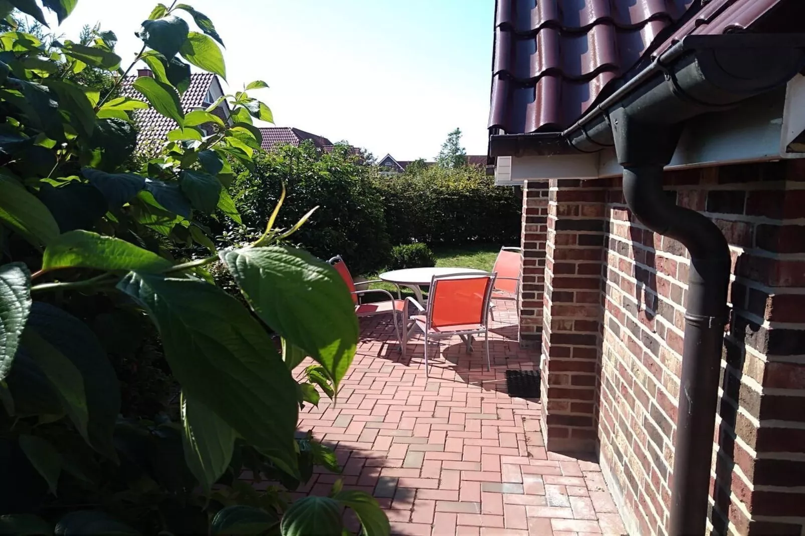 512145-Gardens in summer