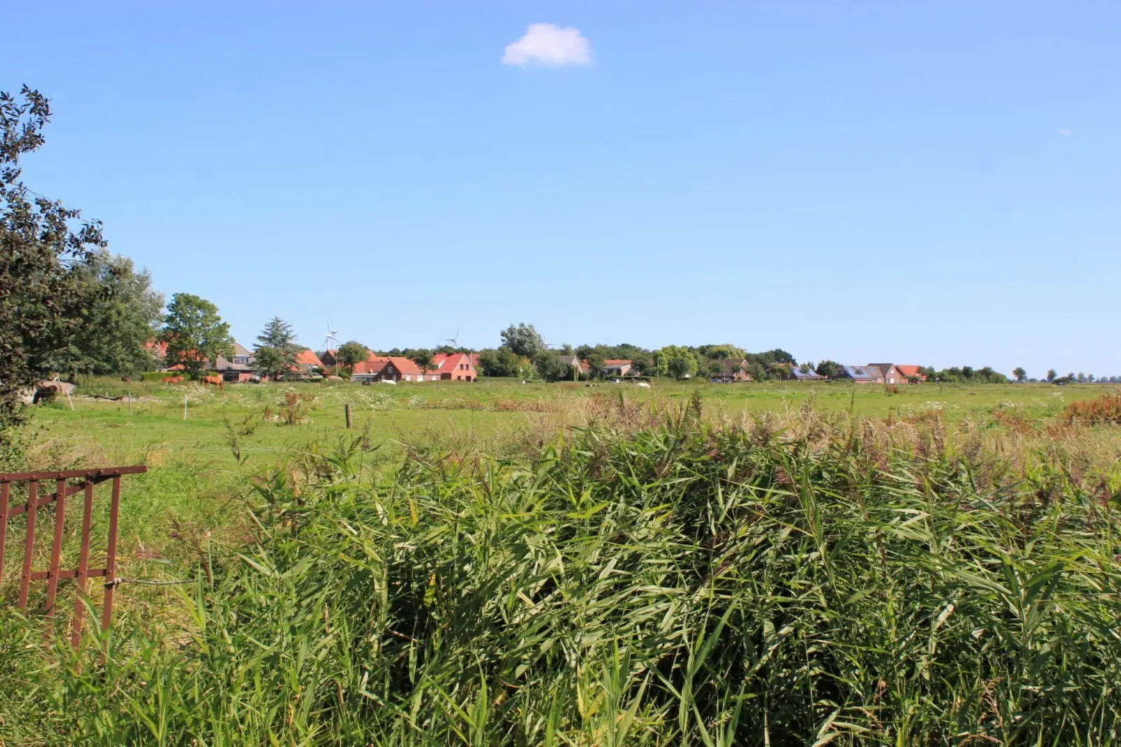 244343-Garten Sommer