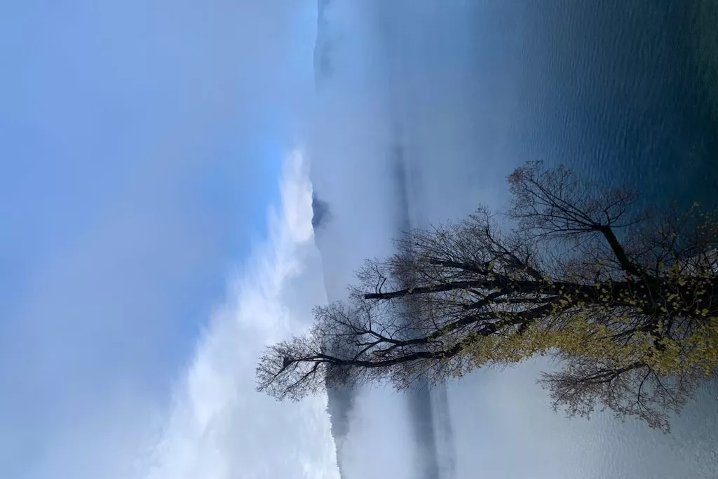 426460 - Nicht zugeordnet