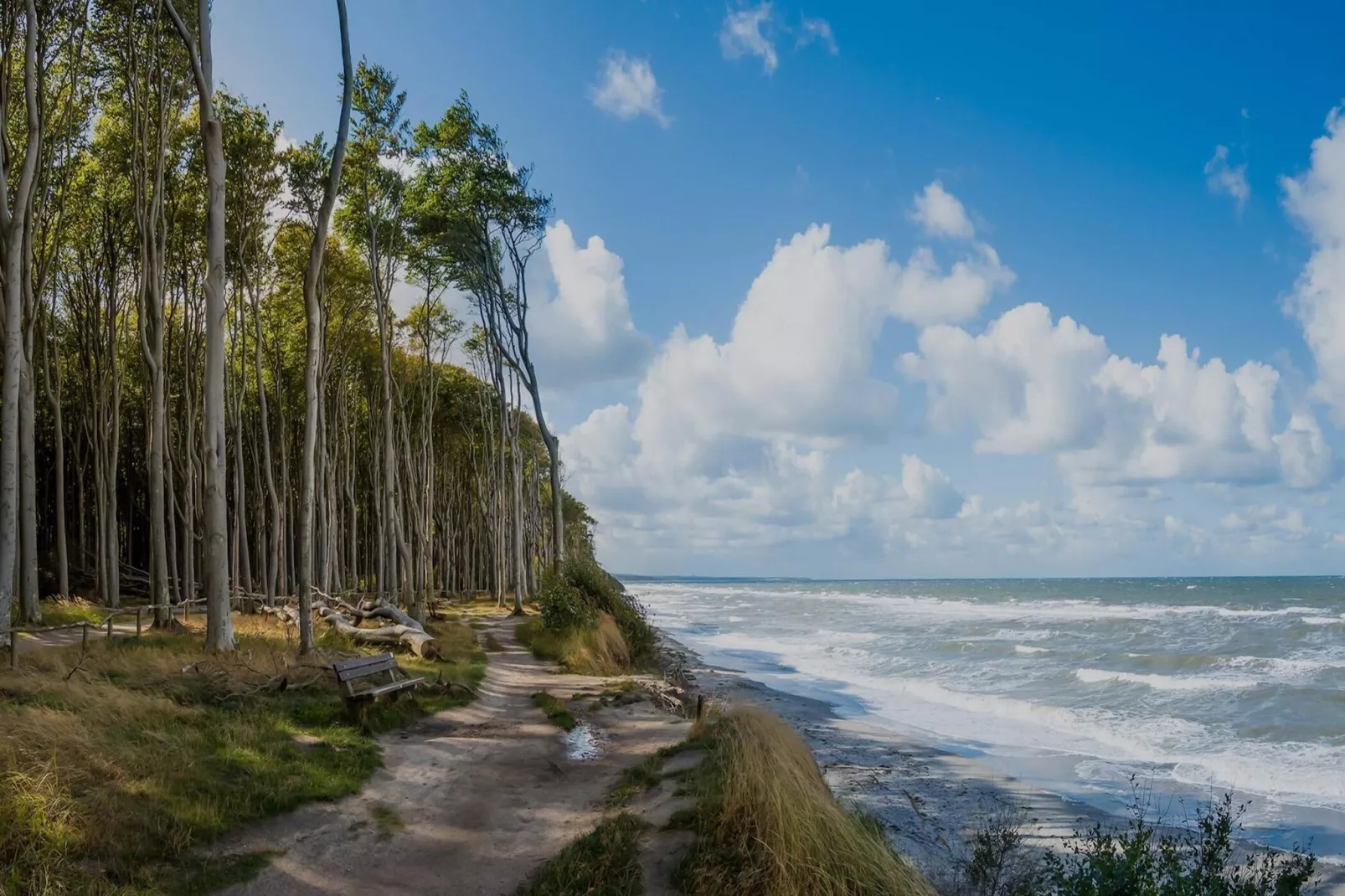 Domki PREMIUM Sarbinowo-Image-tags.water view