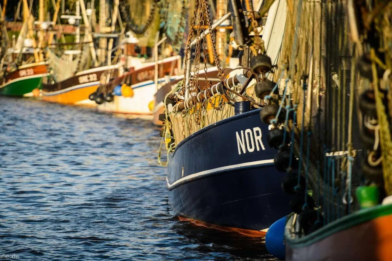 512145-Areas within 5km in summer