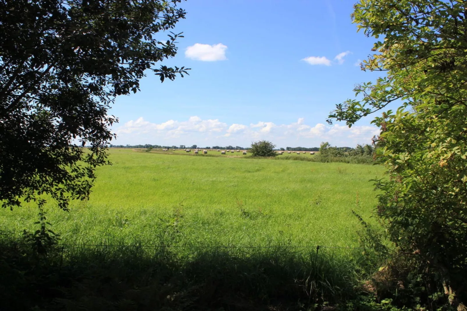 244343-Garten Sommer