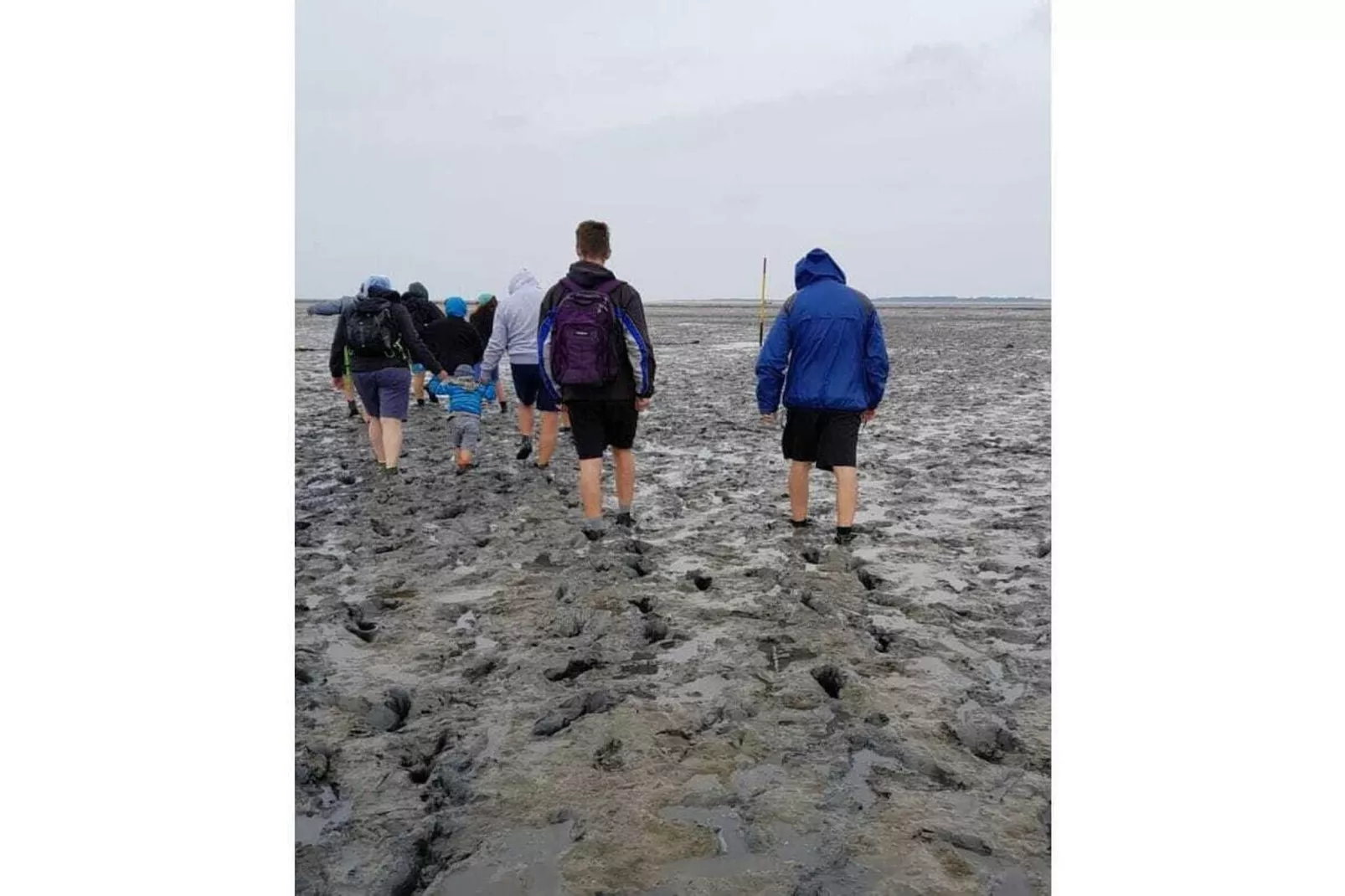 268431-Areas within 5km in summer