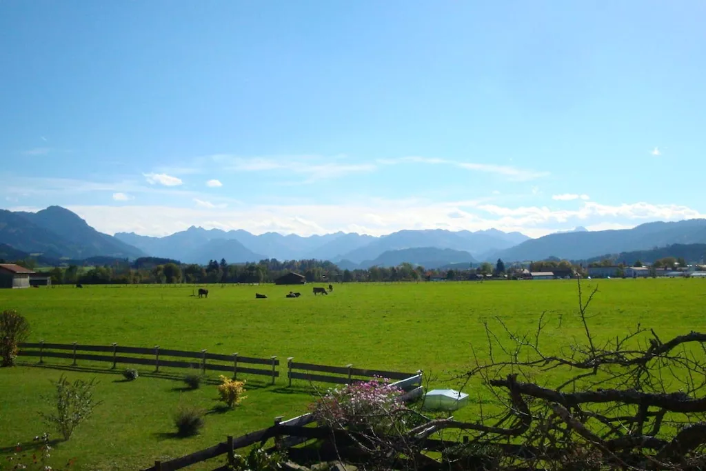 15559 - Nicht zugeordnet