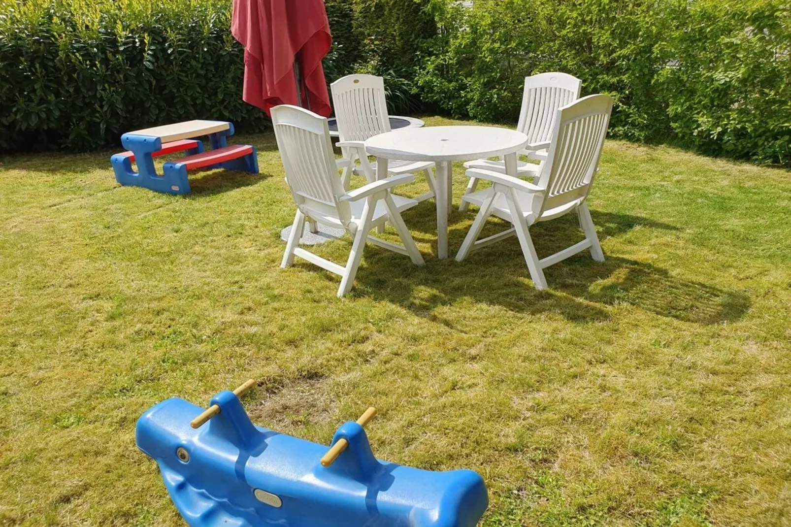 256072-Garten Sommer