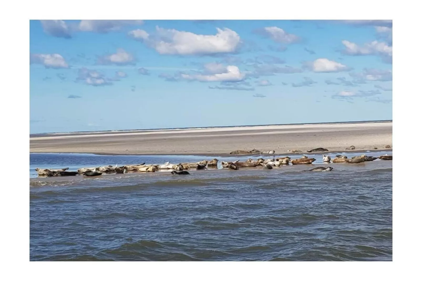 268431-Areas within 5km in summer