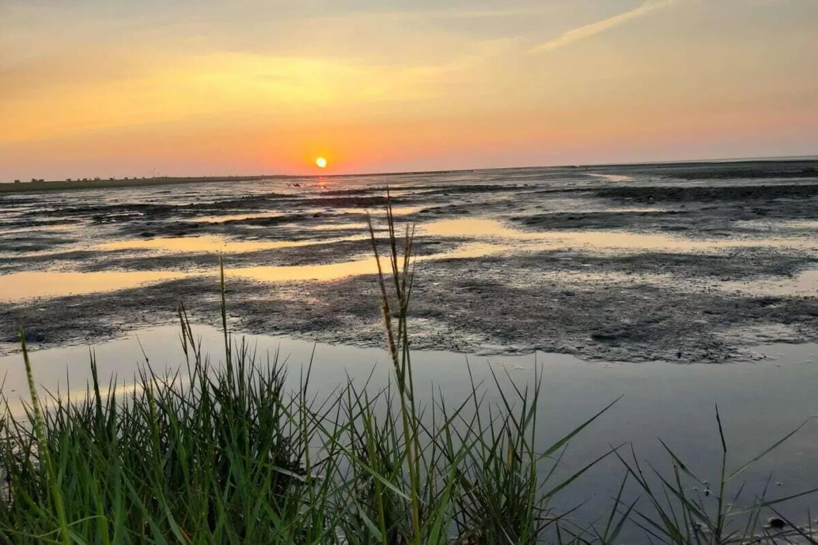 268431-Areas within 5km in summer