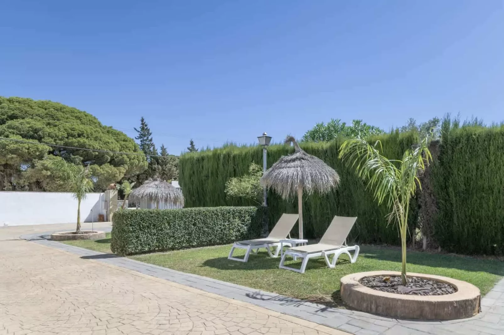 Casa Jose Antonio-Gardens in summer