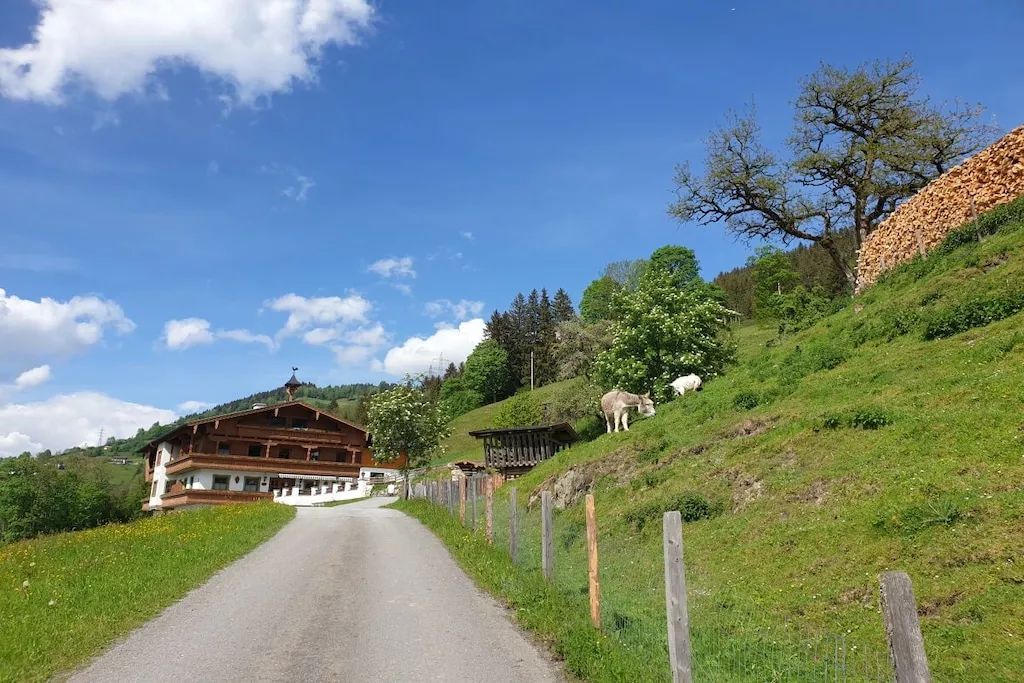 751329 - Nicht zugeordnet