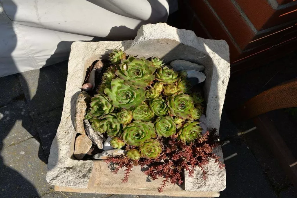 27157 - Nicht zugeordnet