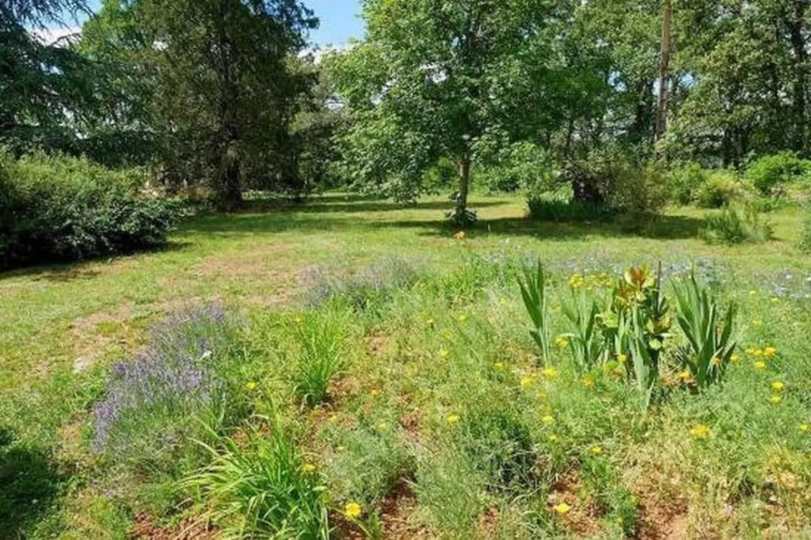 Jolie maison le Catalo - Gardens in summer