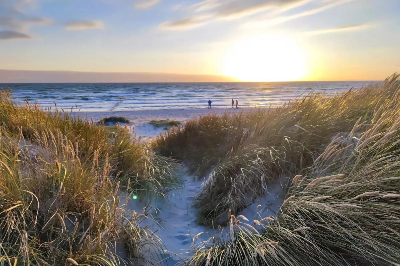 Post Hiddensee-Wohnung 18-Zones été à 5 km