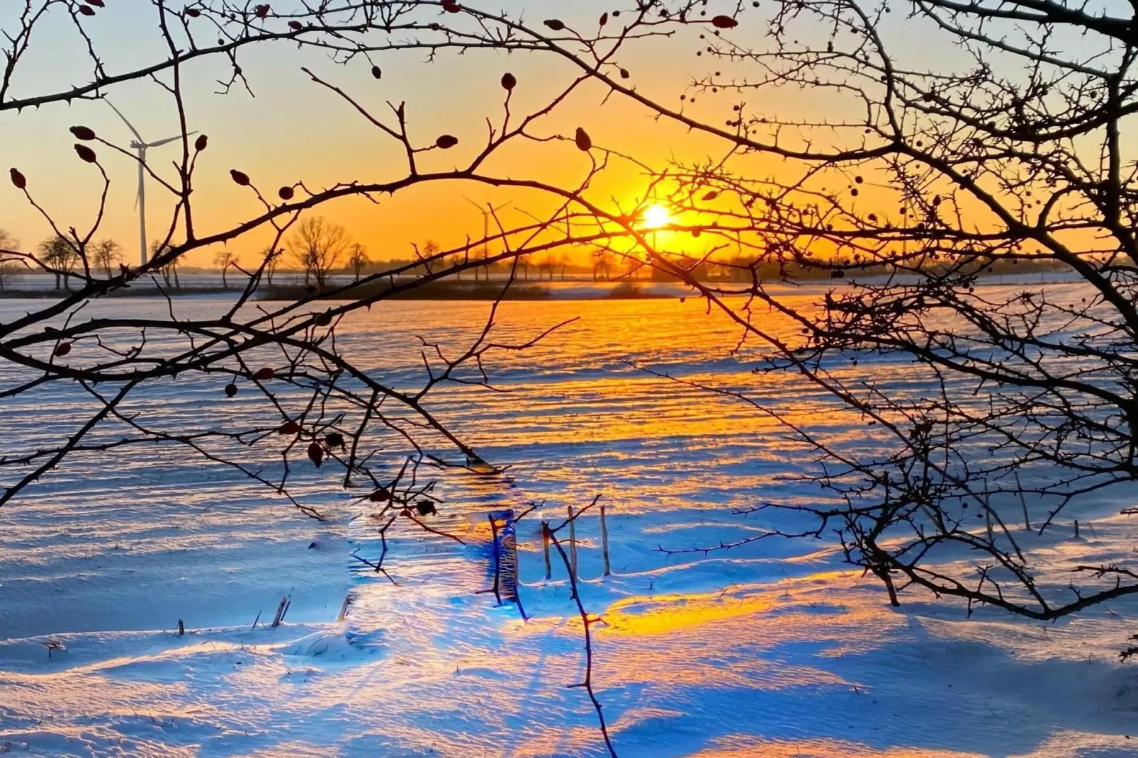 Dom przy drodze Skansen dla 8 osób Bełczna-Aussicht