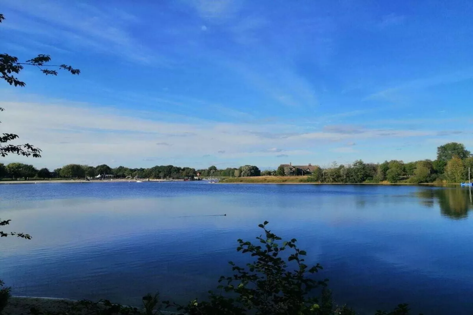 268431-Areas within 5km in summer