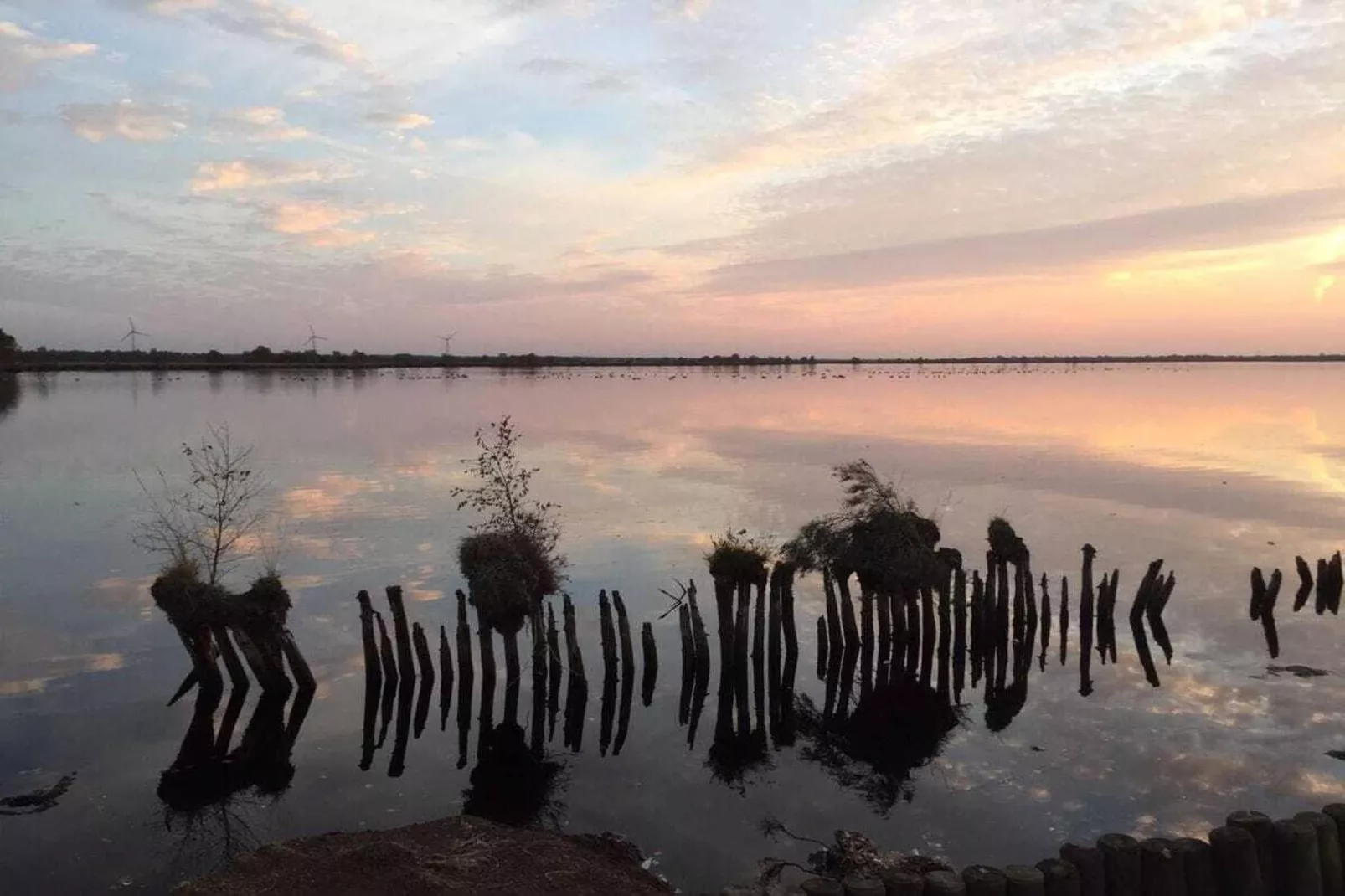 268431-Areas within 5km in summer