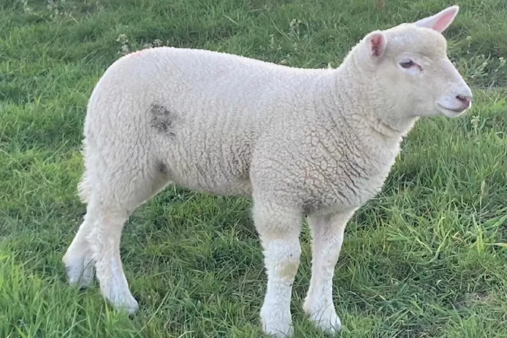 462410-Nicht zugeordnet