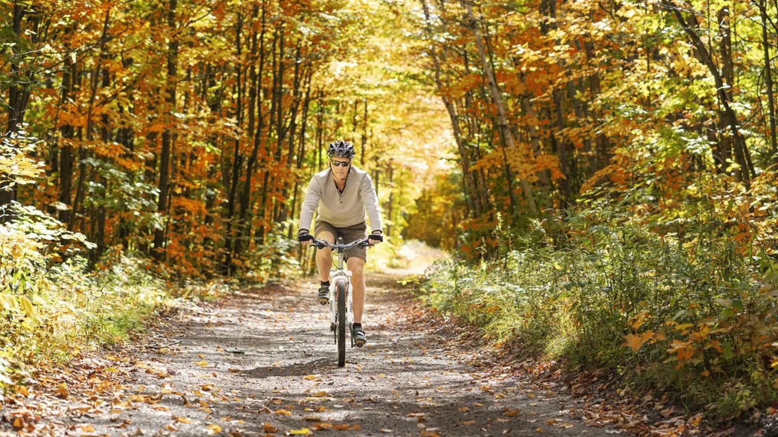 L Etage-Areas within 1km in summer