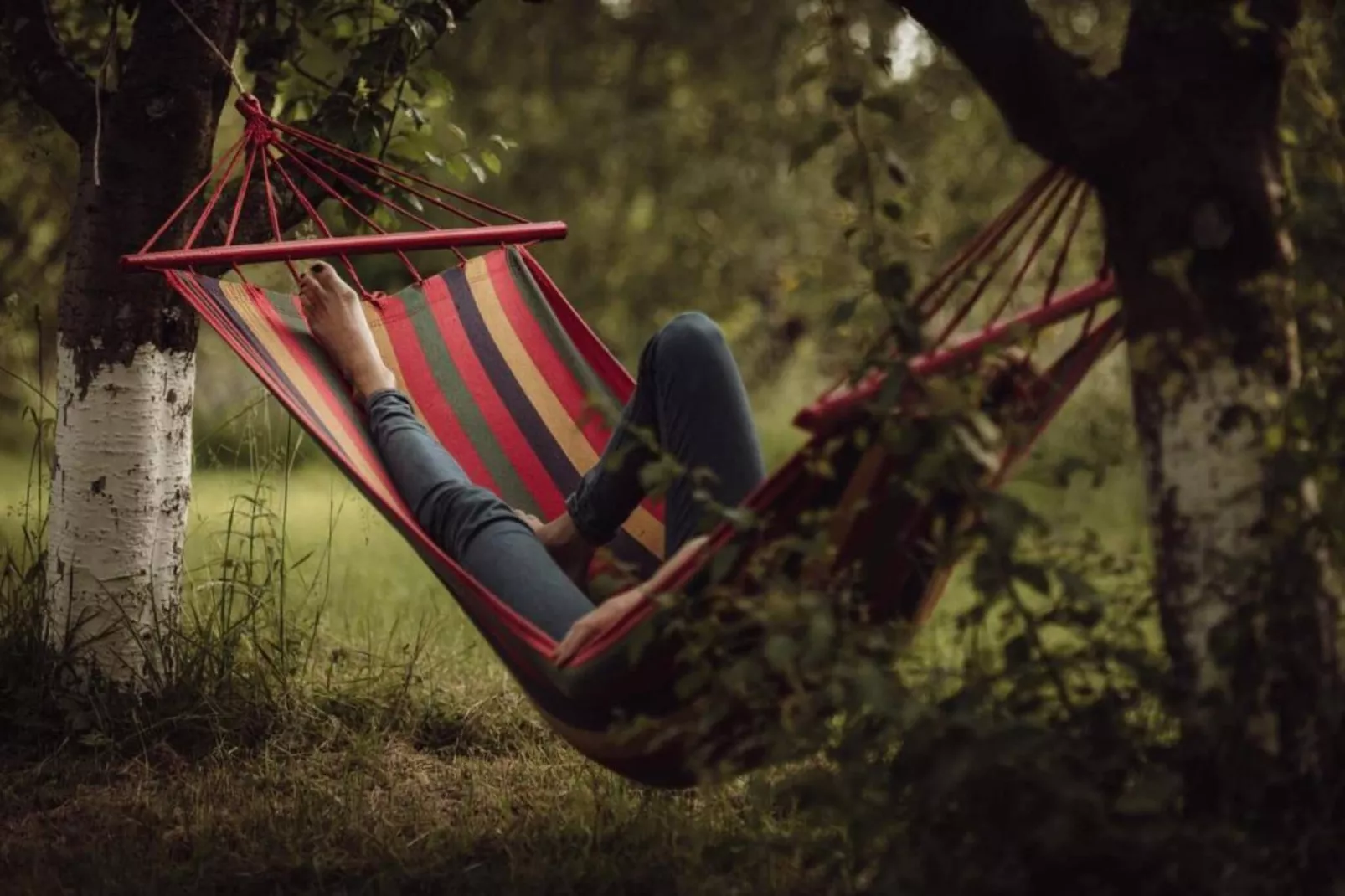 Dom przy drodze Skansen dla 8 osób Bełczna-Aussicht