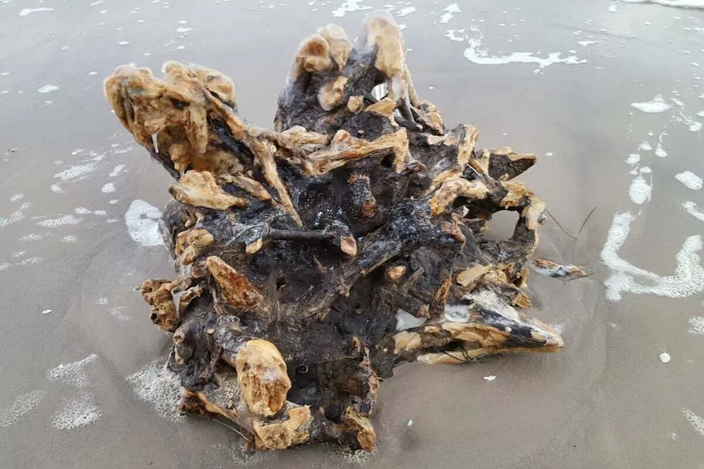 27157 - Nicht zugeordnet