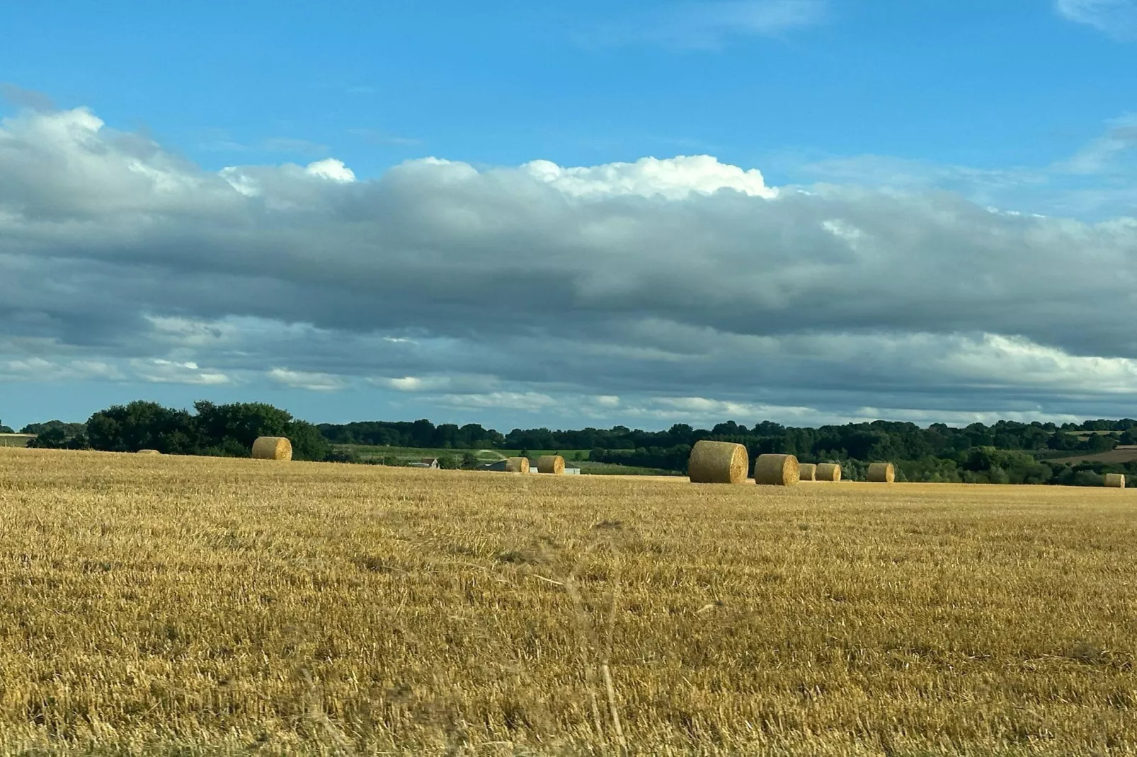 Val du Loire-Gebiete Sommer 5 km