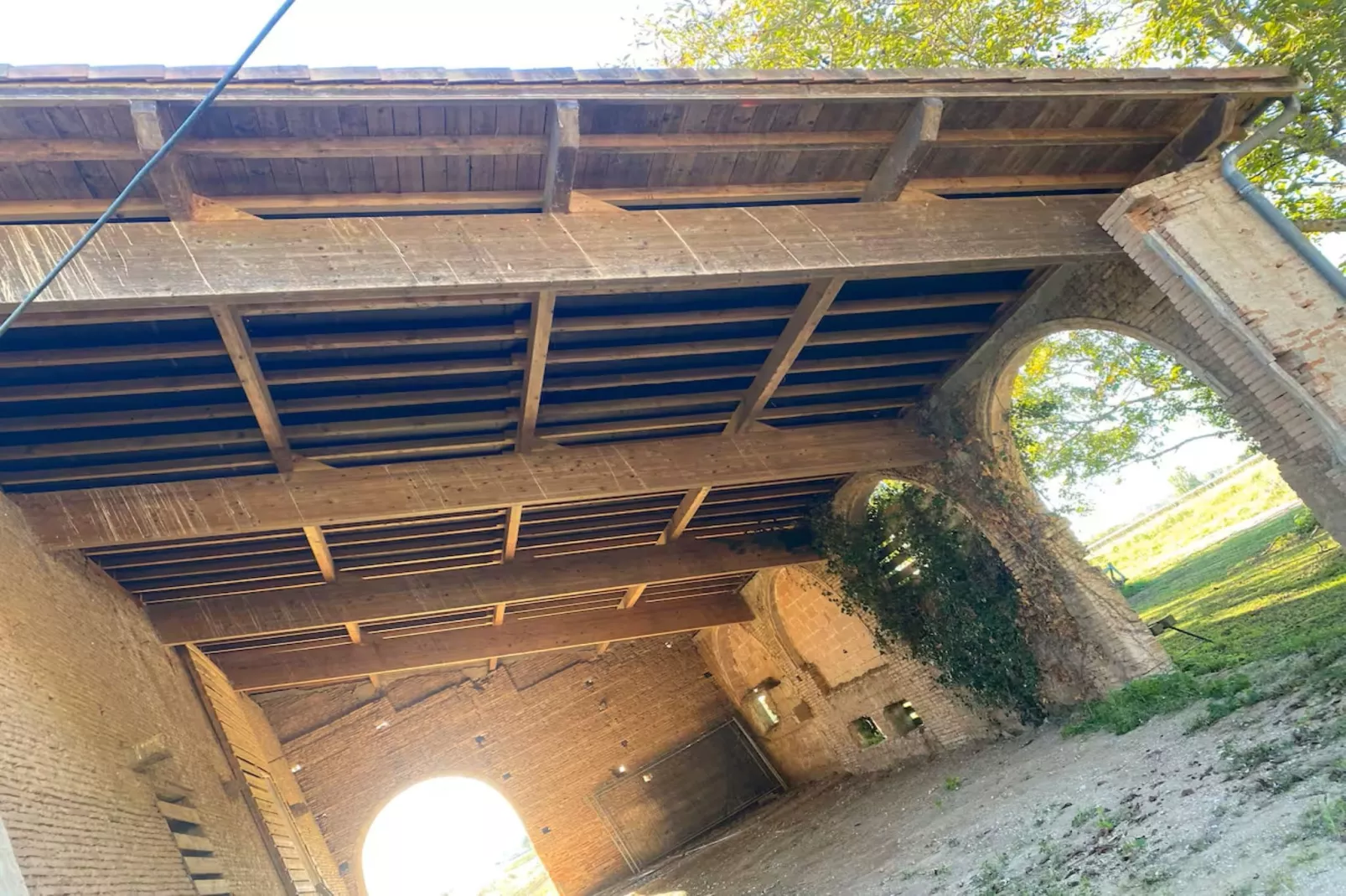 Les jardin de l'Oasis-Ambiance