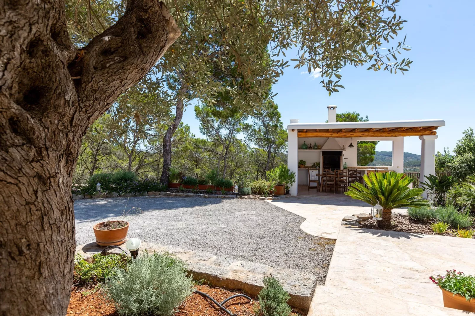 Can Sabina - Gardens in summer