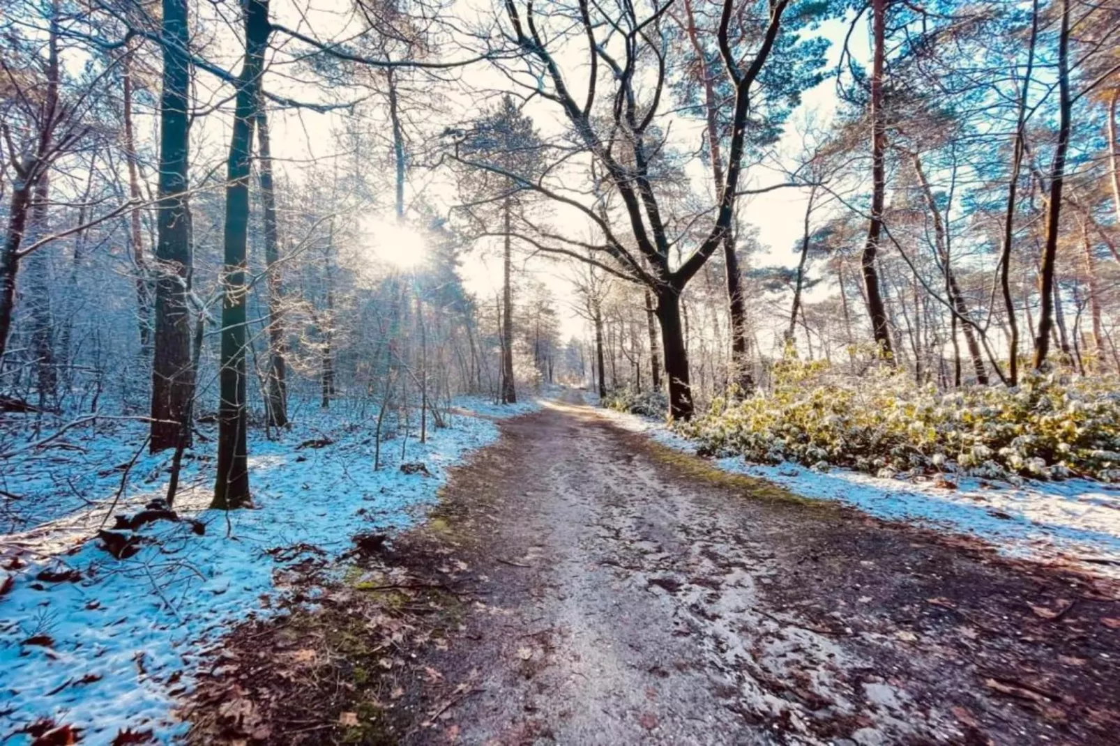 Vakantie bij Meeussen - Schuttersoord 1 - Zones été à 20 km