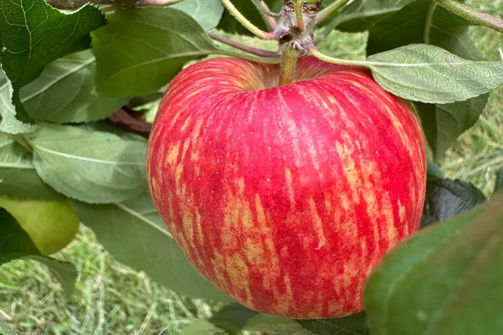 Val du Loire-Ambiente