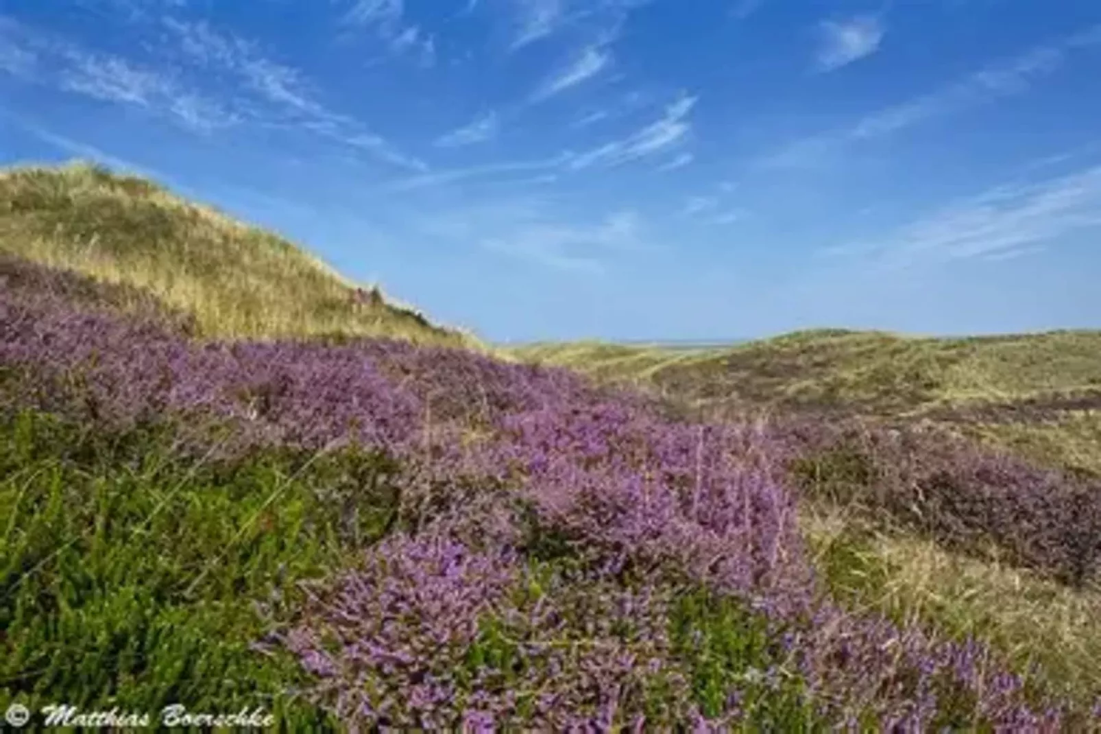 Post Hiddensee-Wohnung 18-Zones été à 5 km