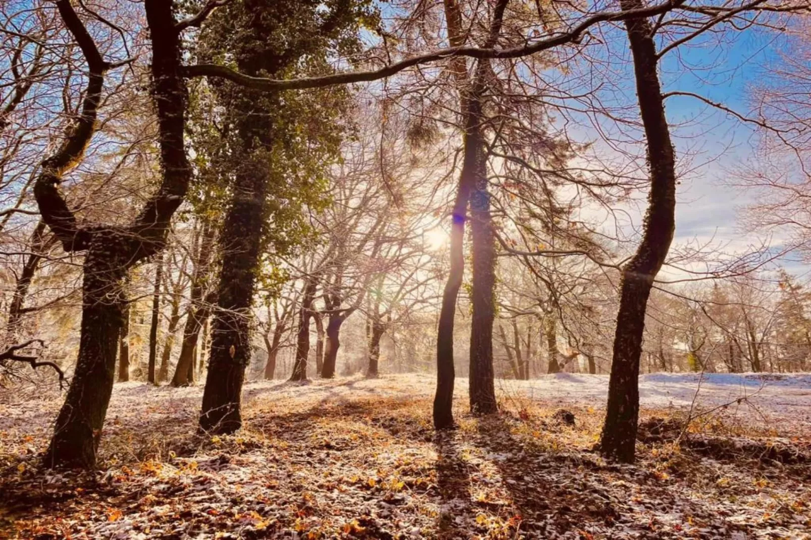 Vakantie bij Meeussen - Schuttersoord 1 - Zones été à 20 km