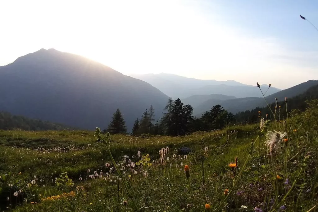 515578 - Nicht zugeordnet