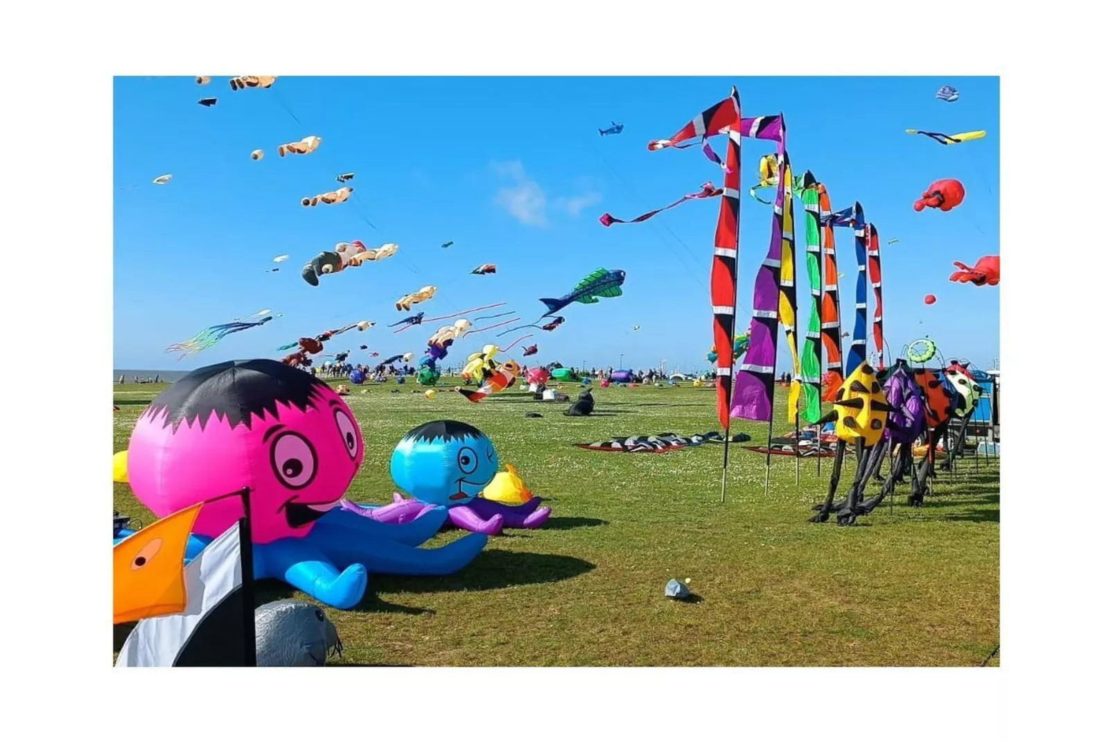 268431-Areas within 5km in summer