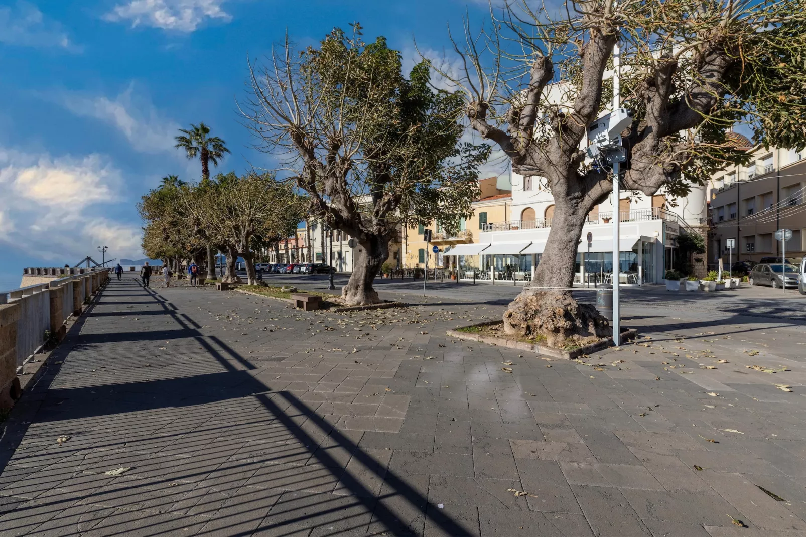 TRILO ALGHERO-Areas within 5km in summer