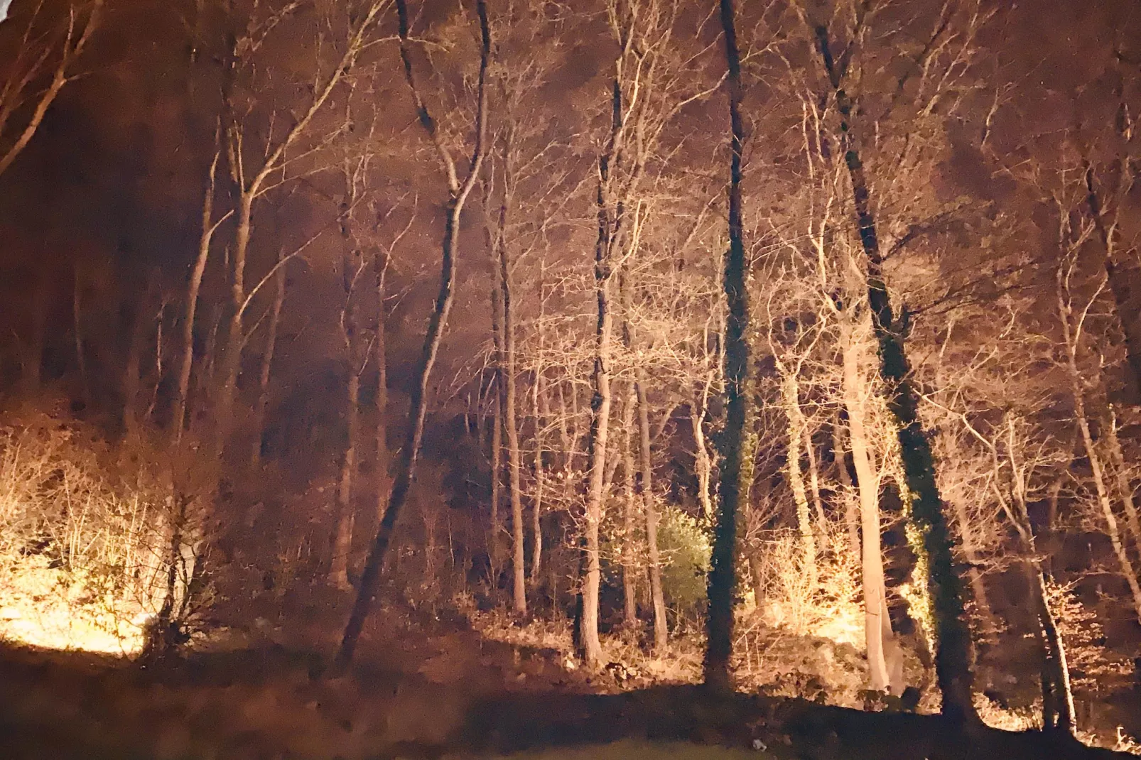 The Sweet Escape - Extérieur hiver