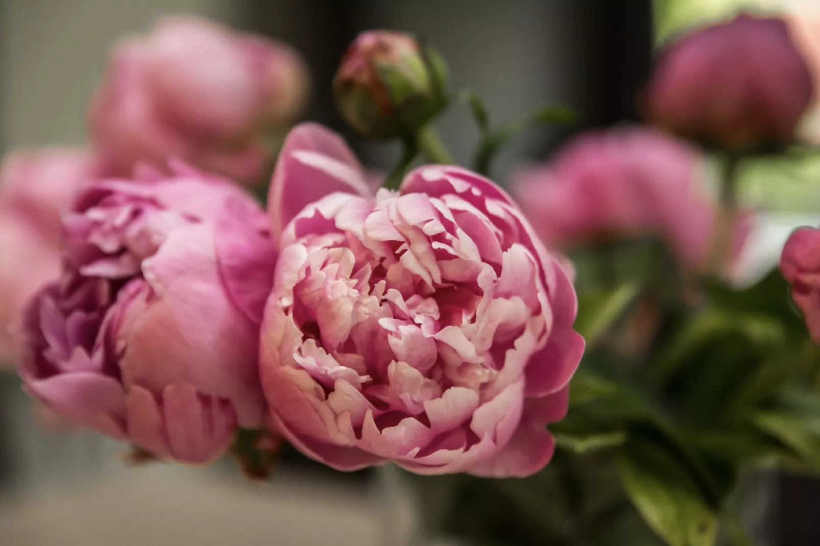 Vakantie bij Meeussen - Schuttersoord 1 - Ambiance