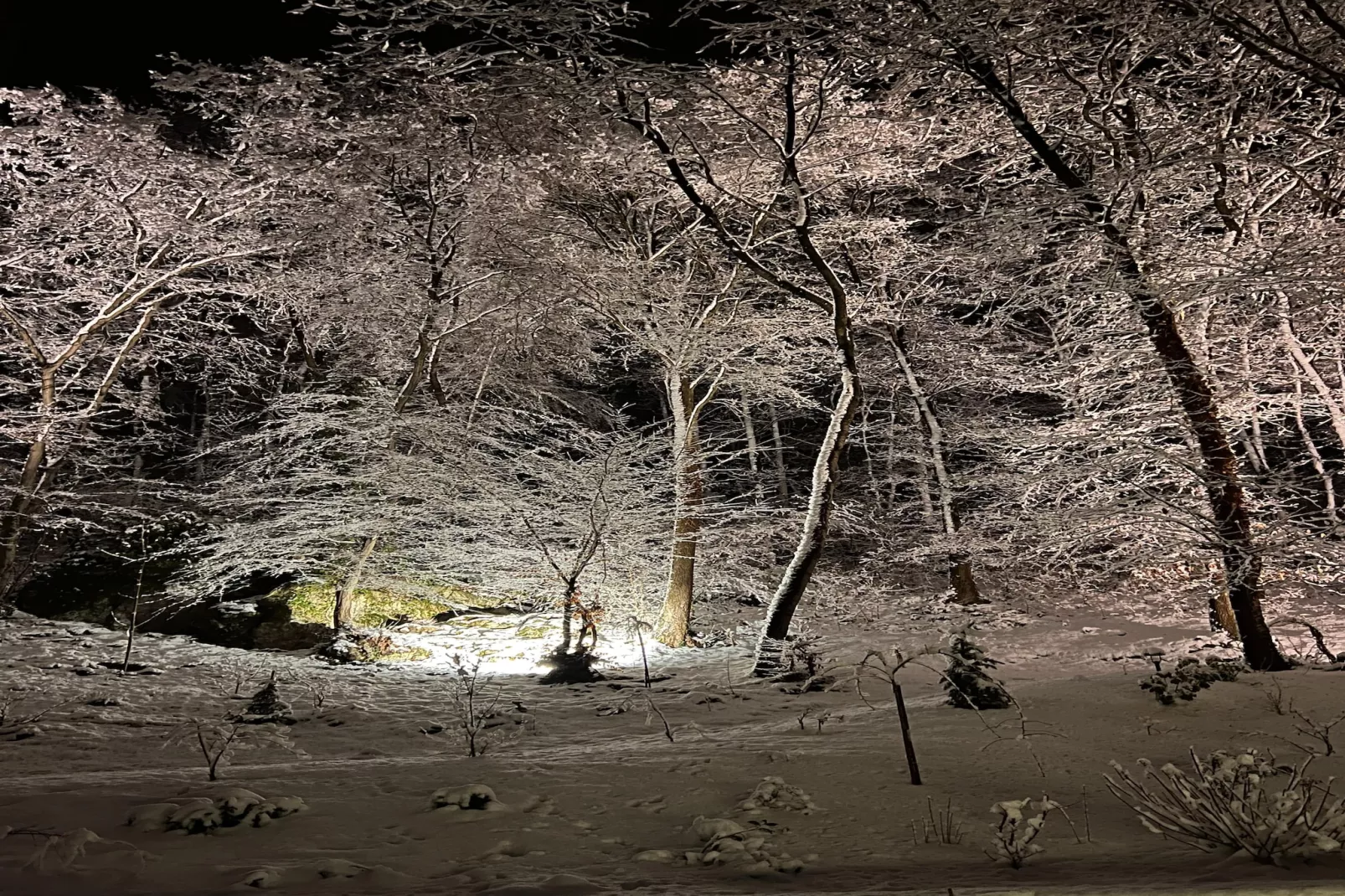 The Sweet Escape - Extérieur hiver