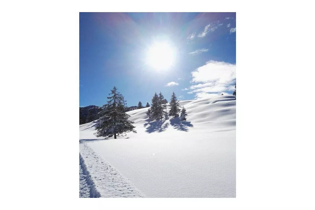 276650 - Nicht zugeordnet