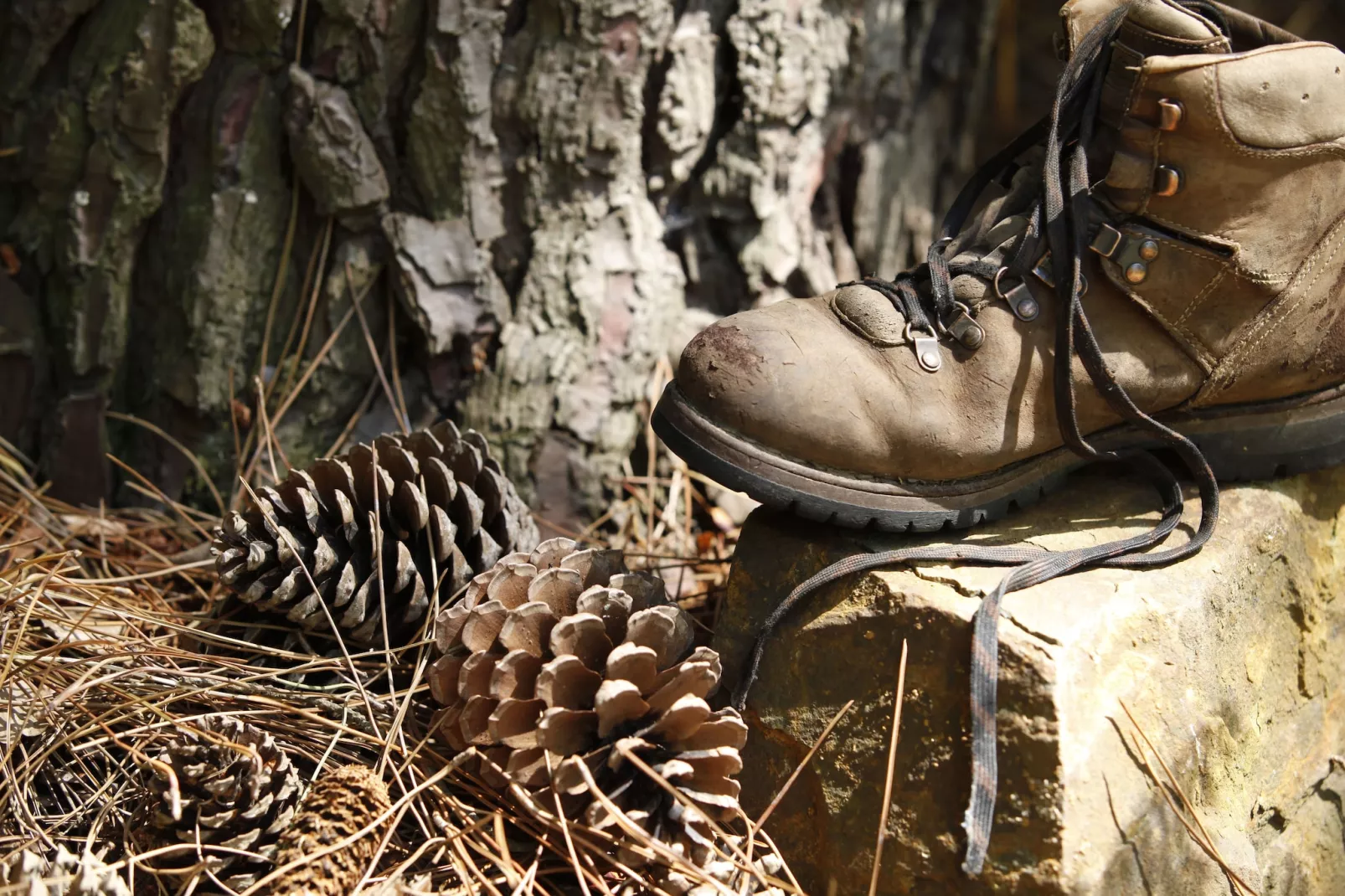 Vakantie bij Meeussen - Schuttersoord 1 - Ambiance