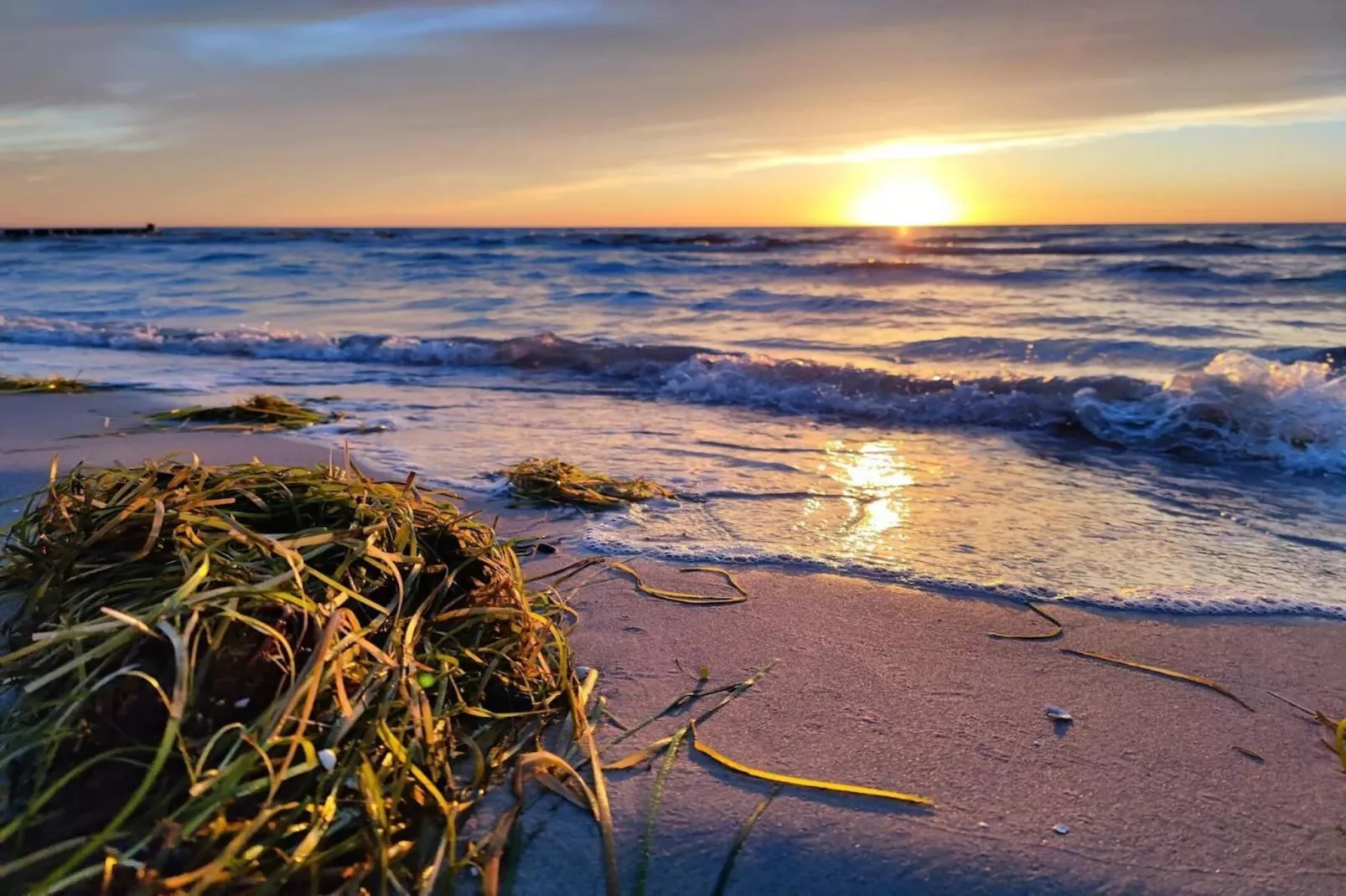 Post Hiddensee-Wohnung 18-Zones été à 5 km