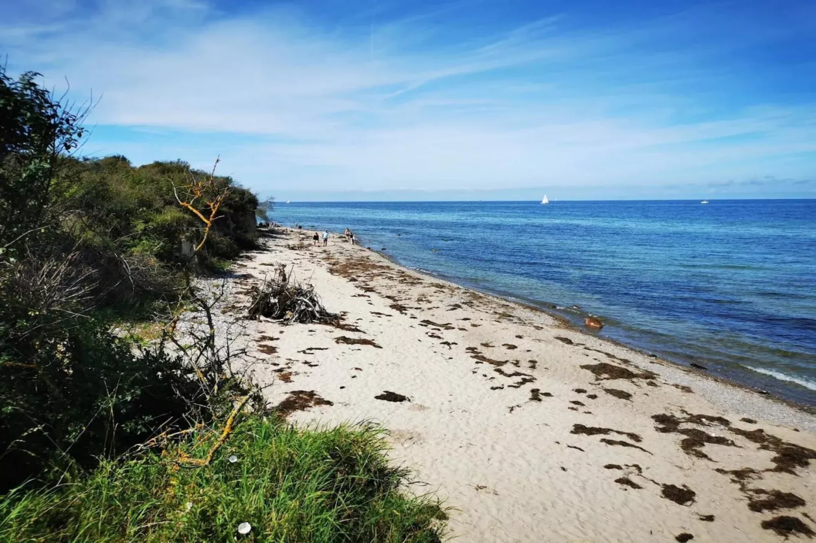 Post Hiddensee-Wohnung 18-Zones été à 5 km