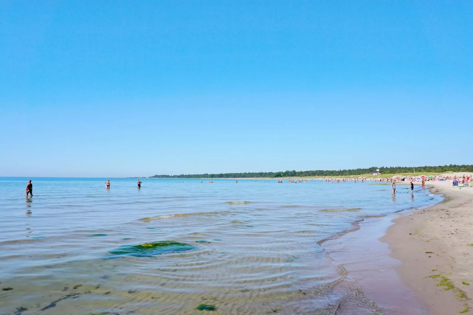 5 etoiles maison de vacances a Gotlands Tofta-Non tagué