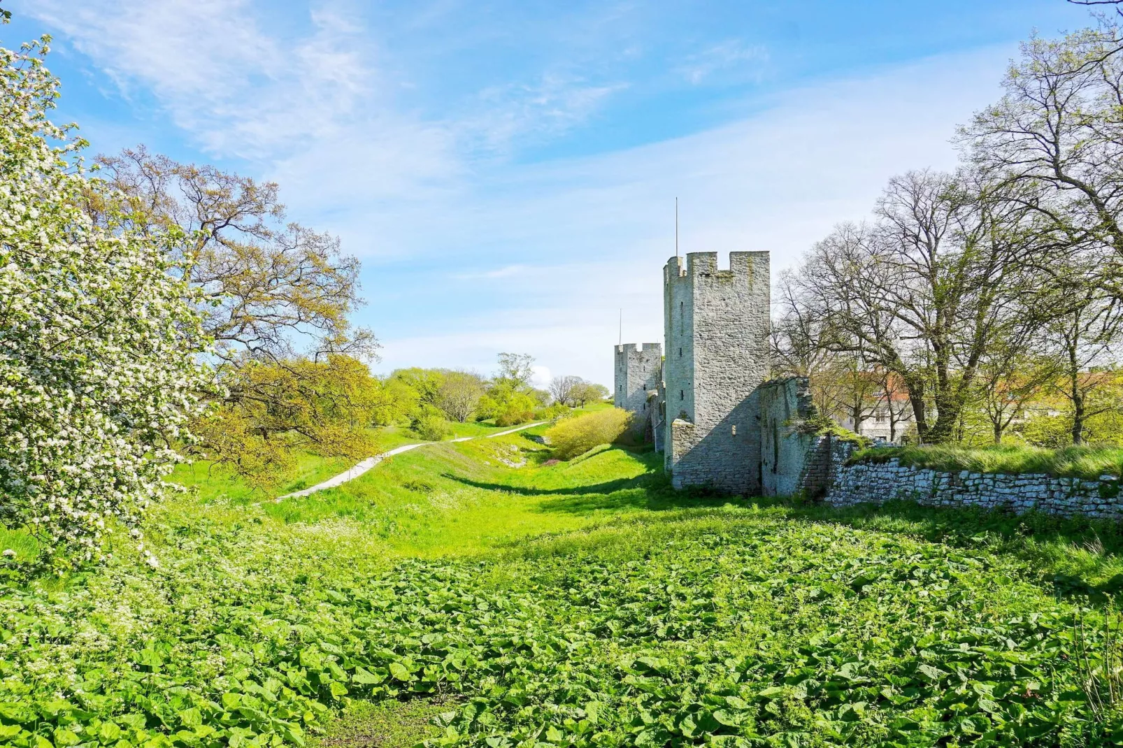 5 etoiles maison de vacances a Gotlands Tofta-Non tagué