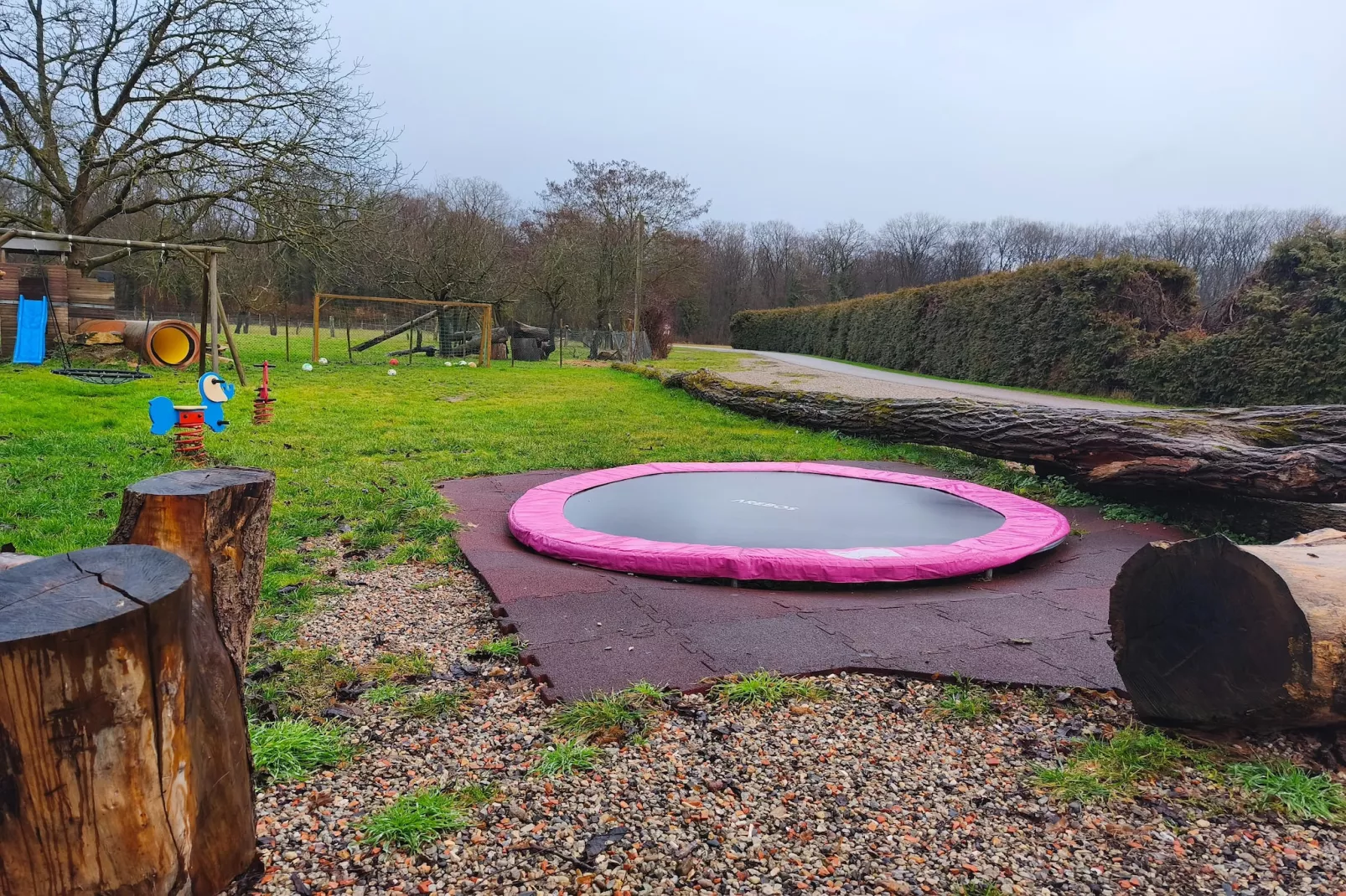 Im Rheintal-Garten Sommer