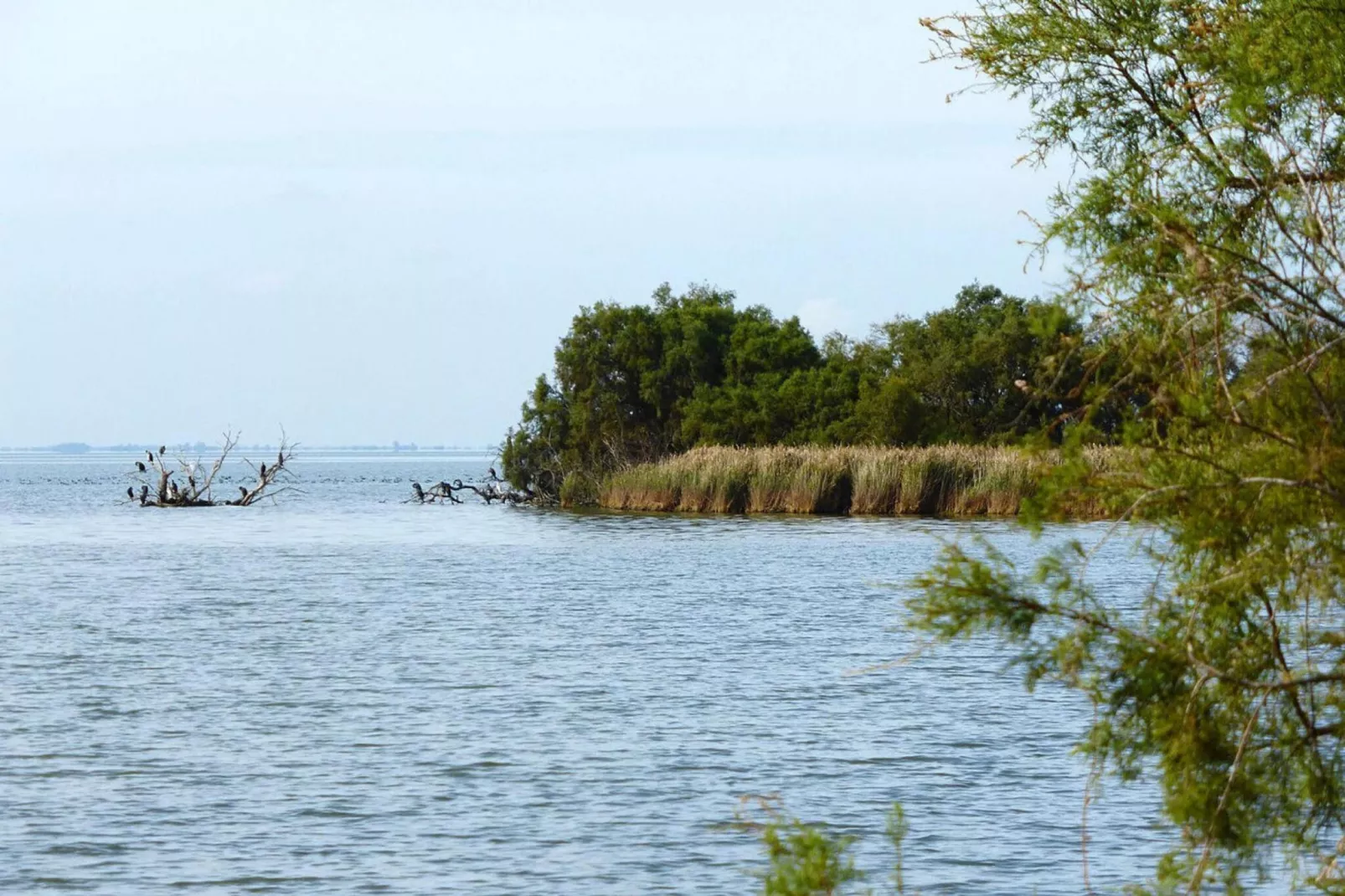 Doppelhaushälfte in Saintes-Maries-de-la-Mer-Gebiete Sommer 1 km