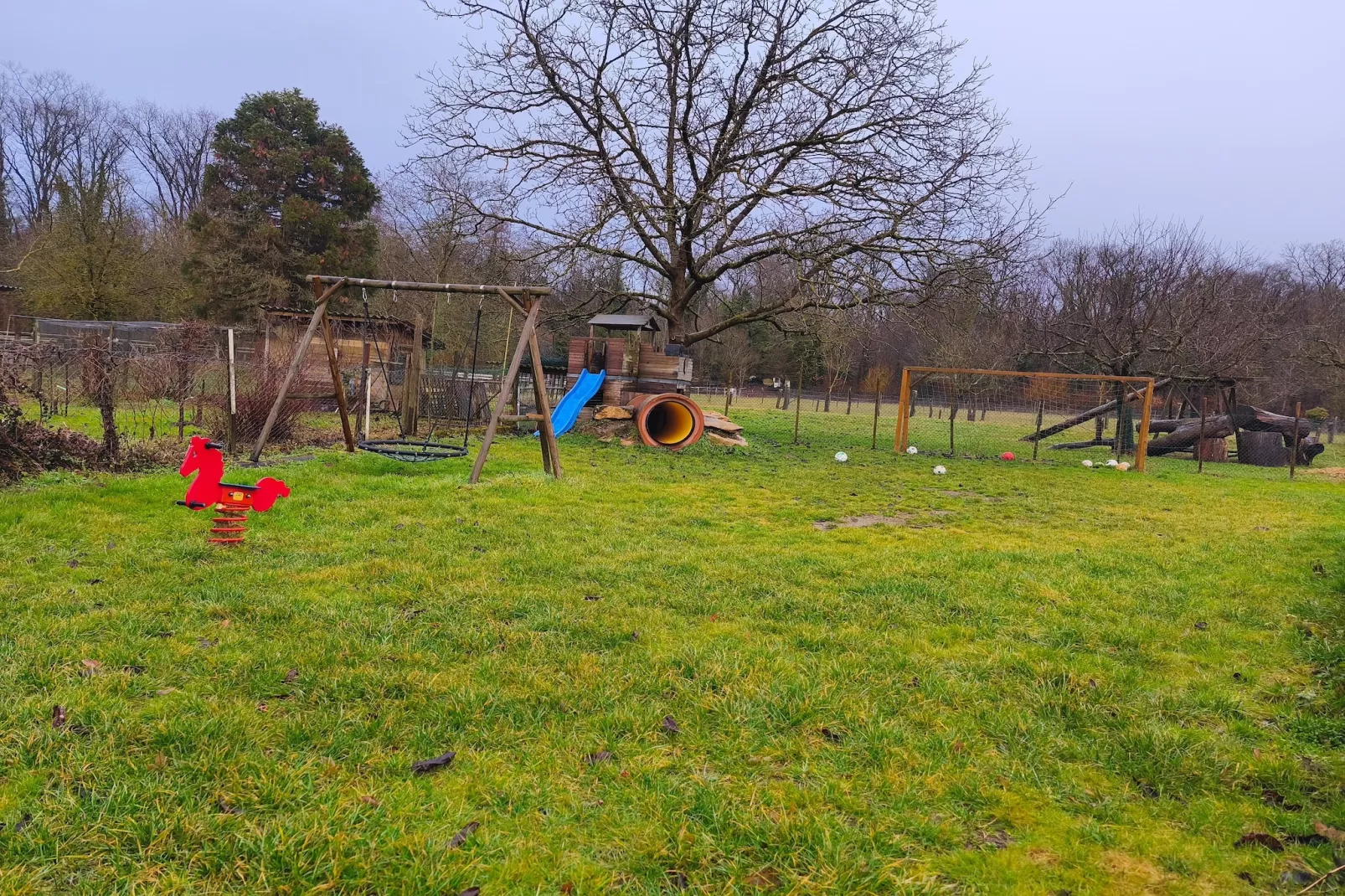 Im Rheintal-Garten Sommer