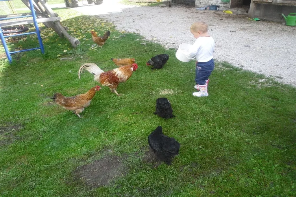 87182-Nicht zugeordnet