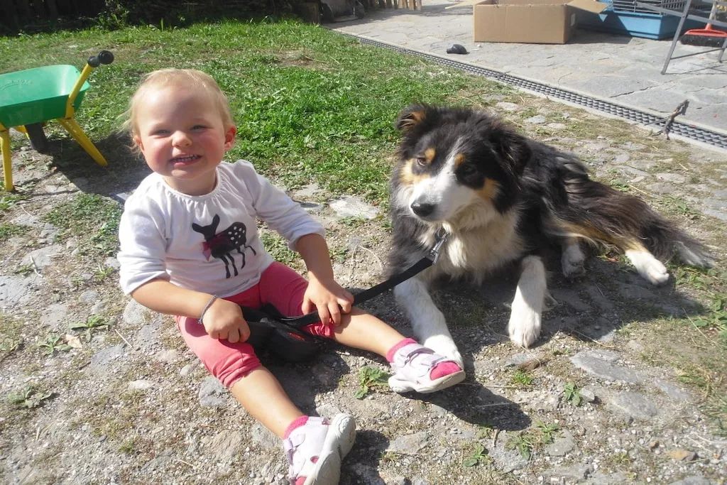 87182-Nicht zugeordnet