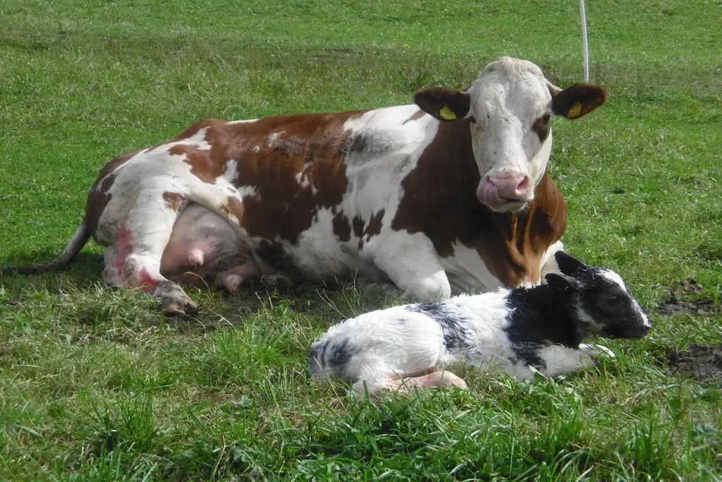 131067-Nicht zugeordnet