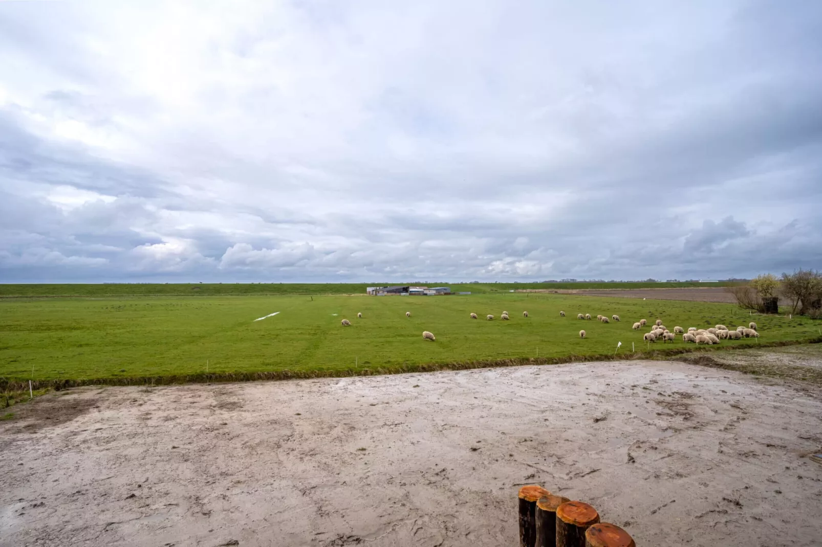 DDH Buhne-Jardins en été