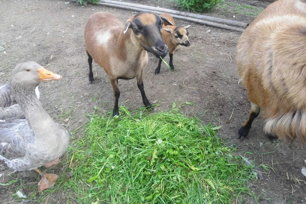 131067-Nicht zugeordnet